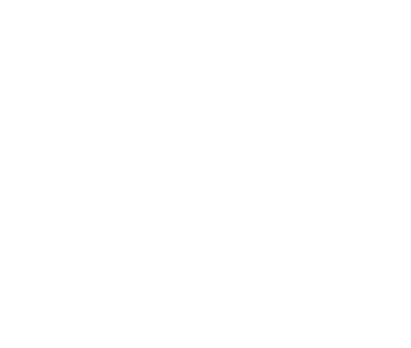 webinar icon